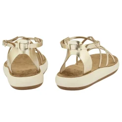 Anastasia comfort platinum