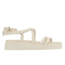 Aristea off white