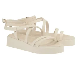 Aristea off white
