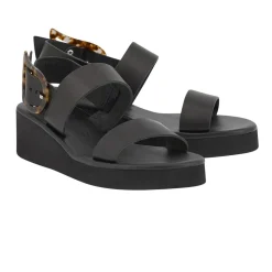 Clio rainbow black tortoiseshell