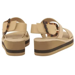 Clio rainbow natural tortoiseshell