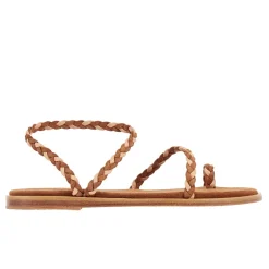 Elevated eleftheria rust