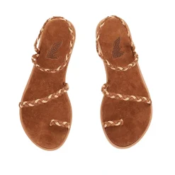 Elevated eleftheria rust