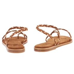 Elevated eleftheria rust