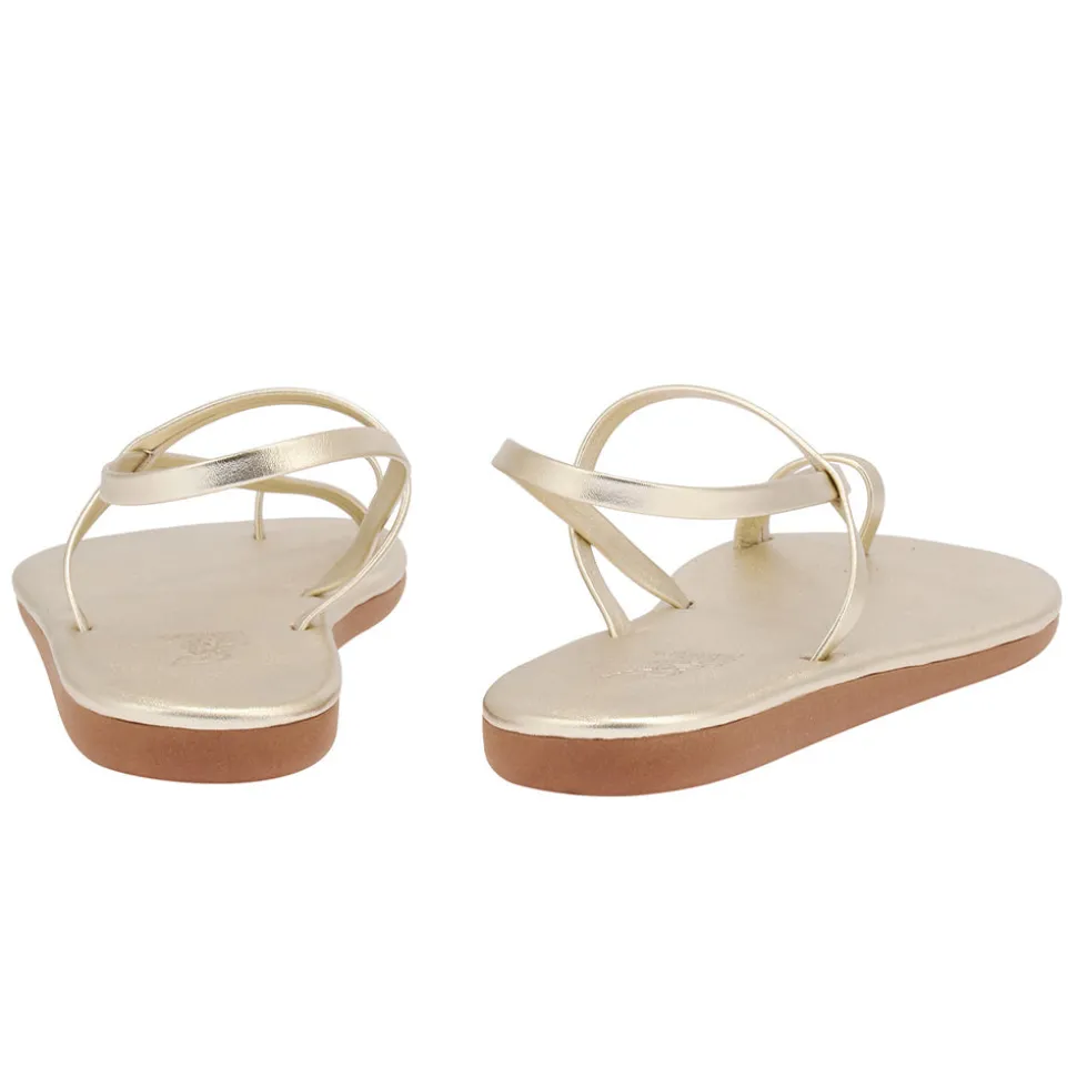 Euterpe all platinum