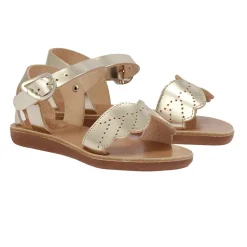 Little andromeda soft platinum