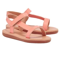 Little iasonas soft coral