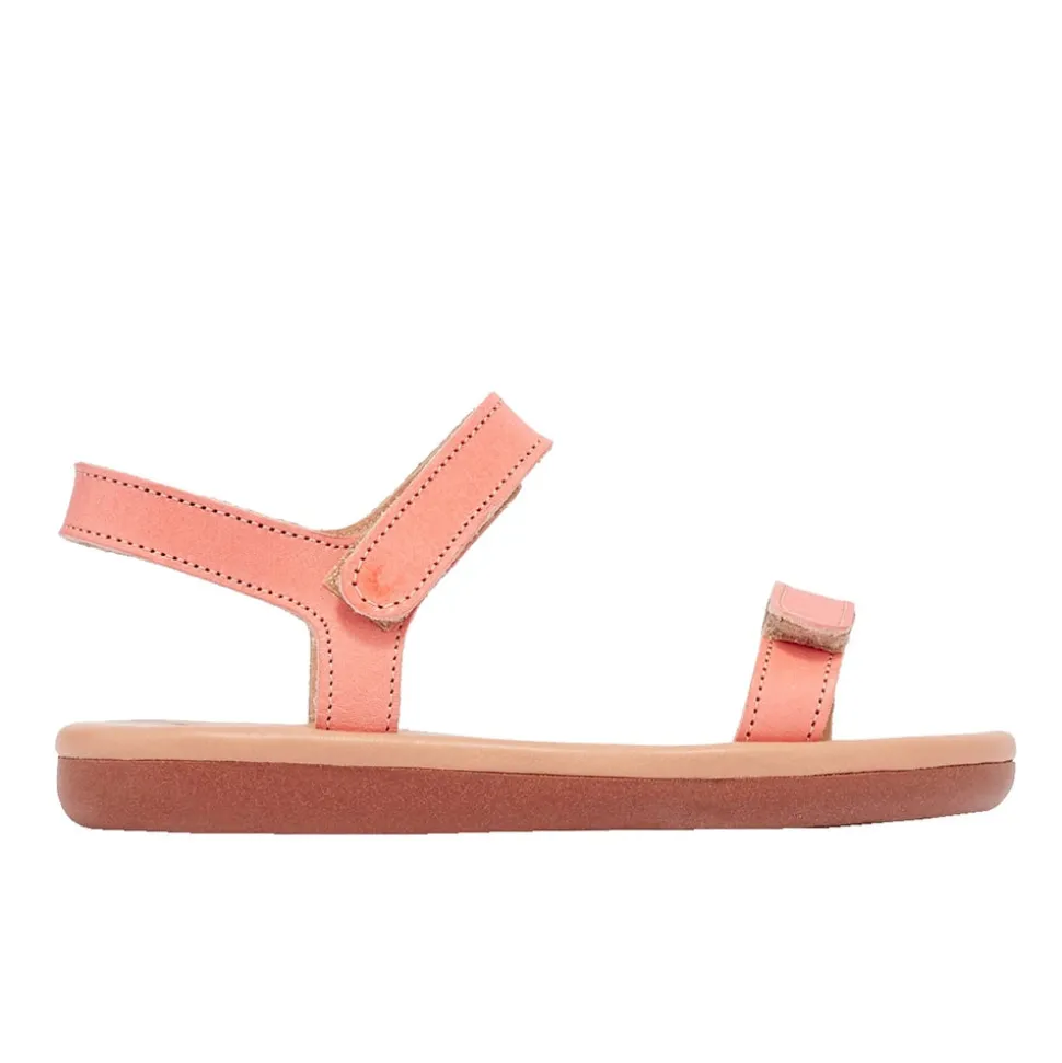 Little poros soft coral