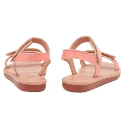 Little poros soft coral