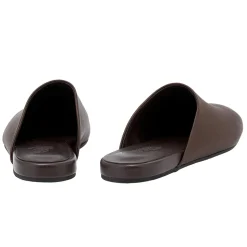 The slipper brown