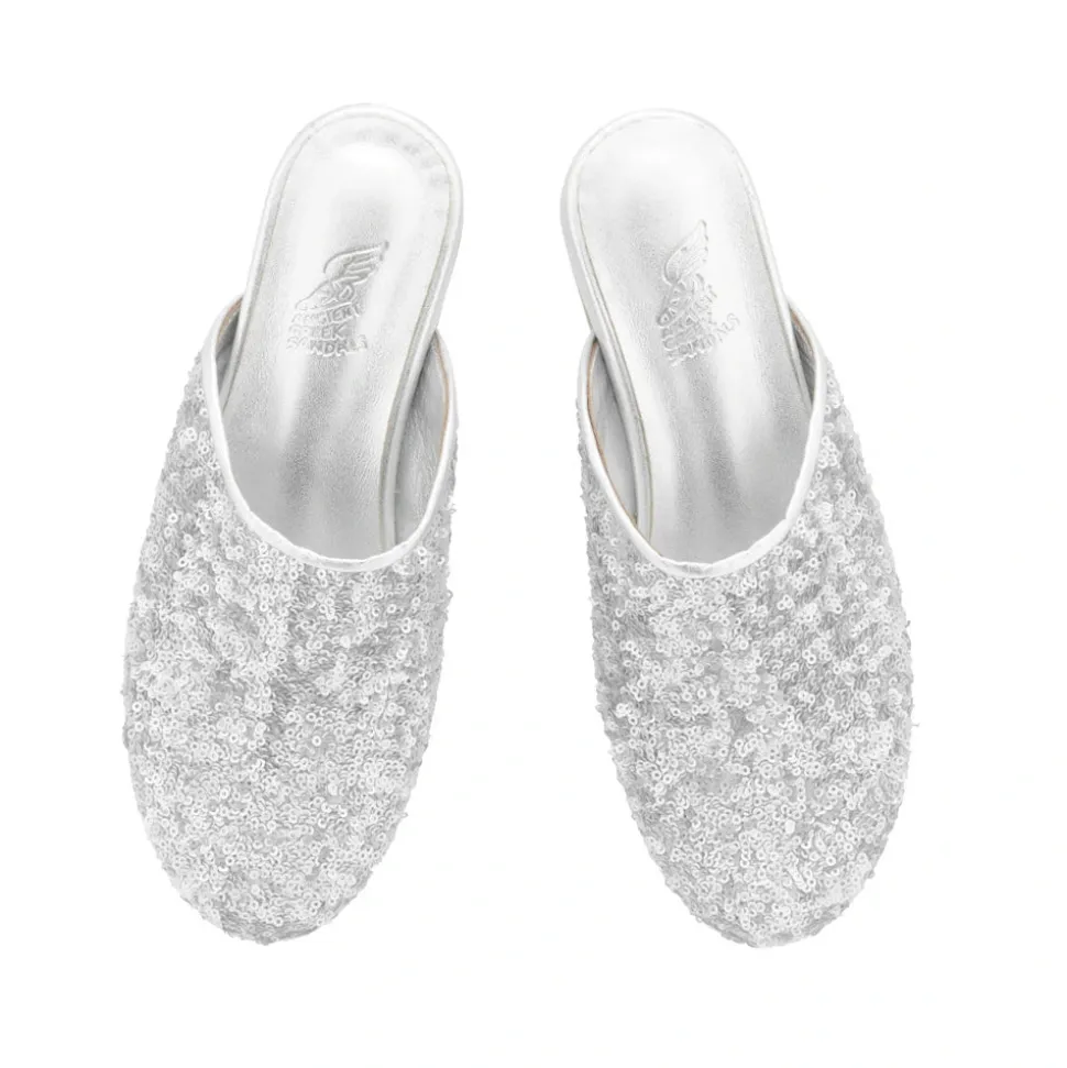 The slipper silver